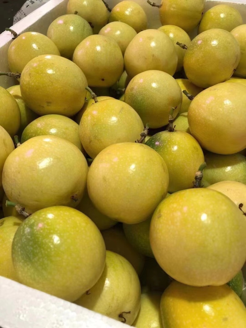 海南百香果小黄金芭乐味蜂蜜味➕钦蜜9号代办市场