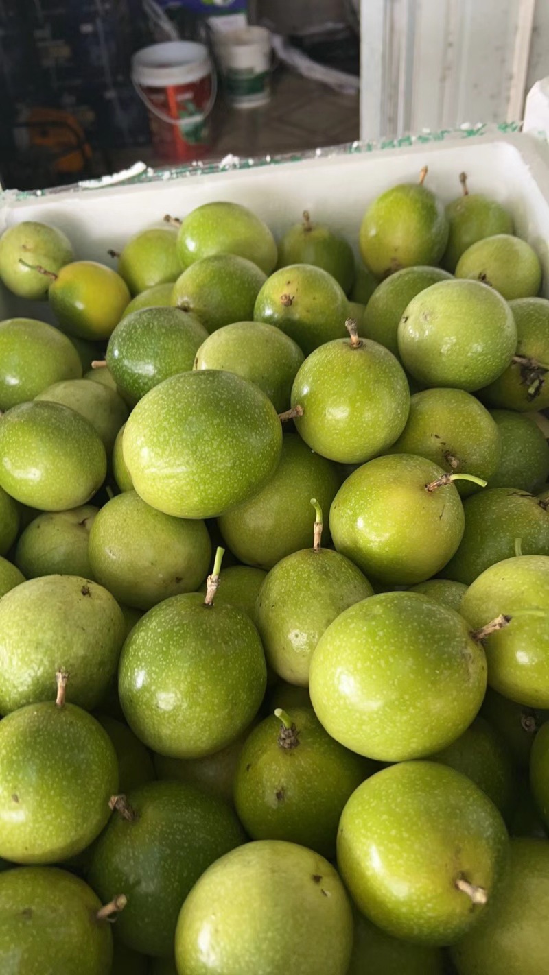 海南百香果小黄金芭乐味蜂蜜味➕钦蜜9号代办市场