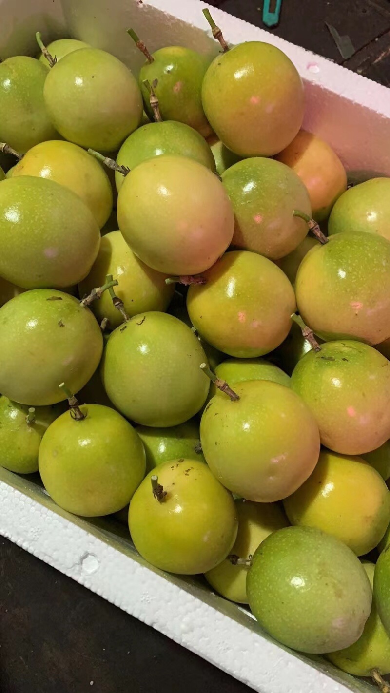 海南百香果小黄金芭乐味蜂蜜味➕钦蜜9号代办市场