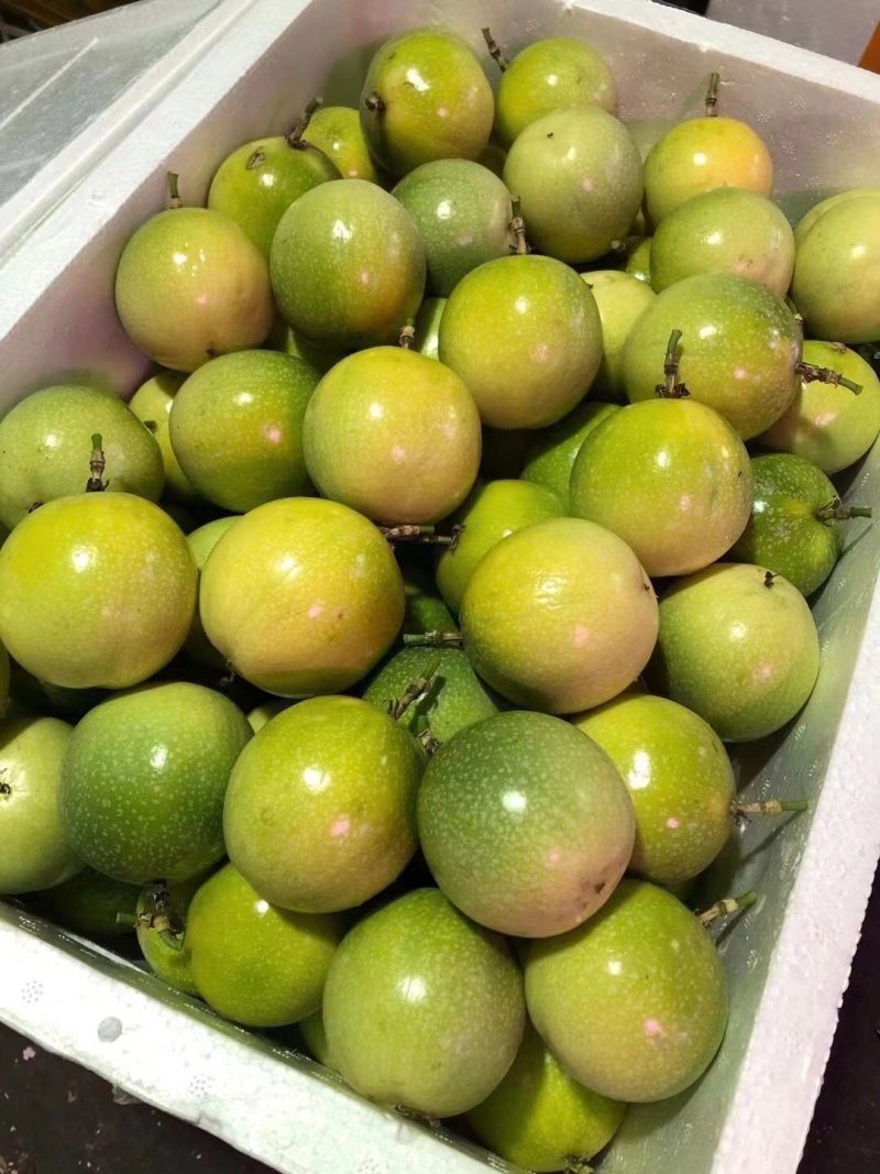 海南百香果小黄金芭乐味蜂蜜味➕钦蜜9号代办市场