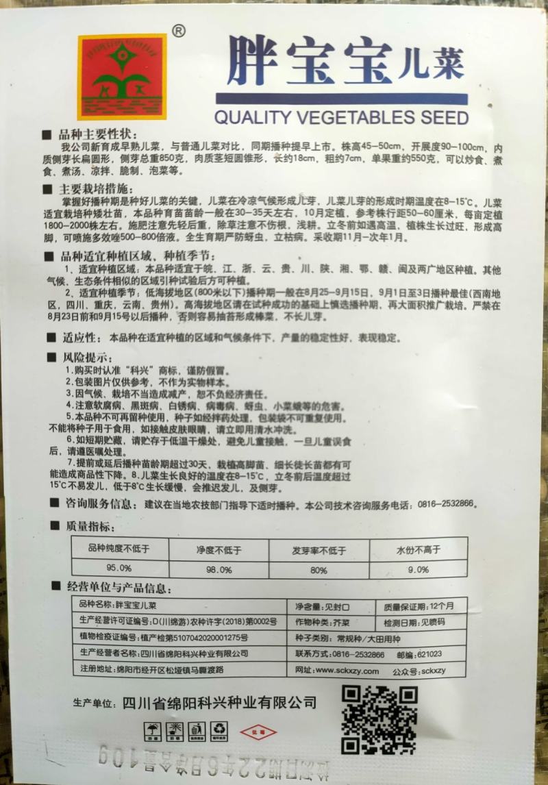 丁家儿菜种子早熟儿菜种子抱子芥种子早熟中心柱大