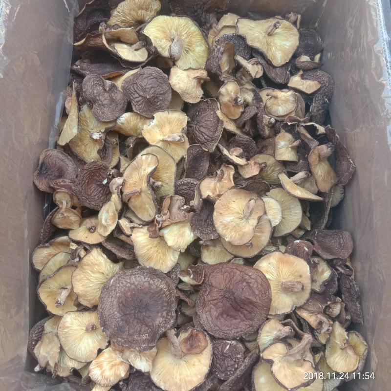 椴木香菇烤菇大片