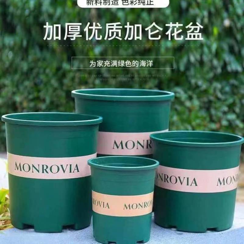 花盆加仑盆，塑料花盆适合各种花卉种植使用厂家供货