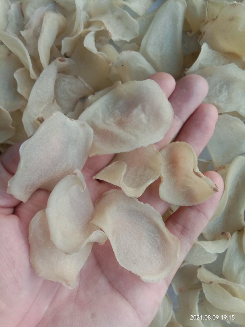 大量出晒干土豆片