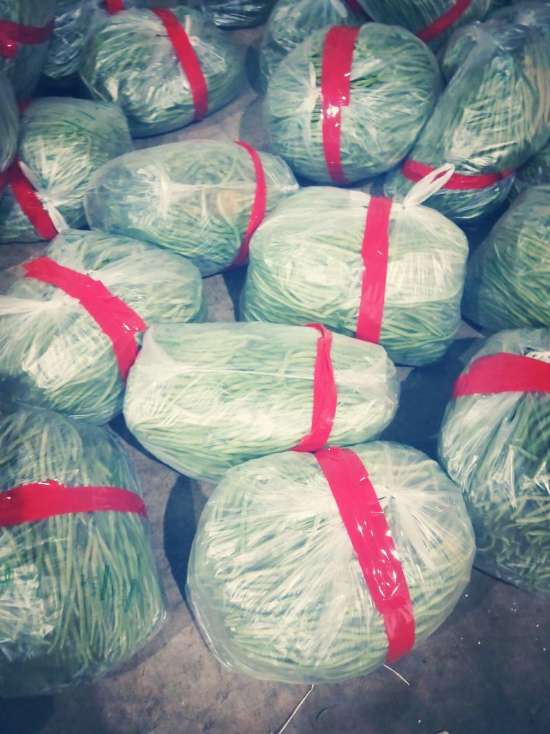 甘肃精品豆王