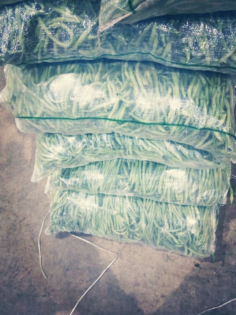 甘肃精品豆王