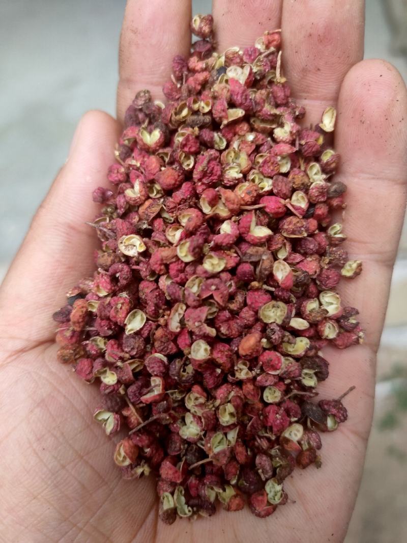 优质大红袍单颗高山种植颜色鲜亮麻香味俱全