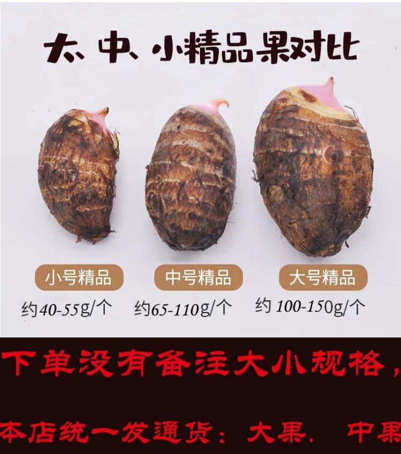 2022年新鲜现挖江西上饶铅山红芽芋泥芋艿软糯香甜