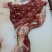 生鲜去皮驴肉，养殖基地一手货源，厂家批发直销，货源充足稳