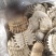 鳖甲生鳖甲干净无肉统货鳖甲新货鳖甲