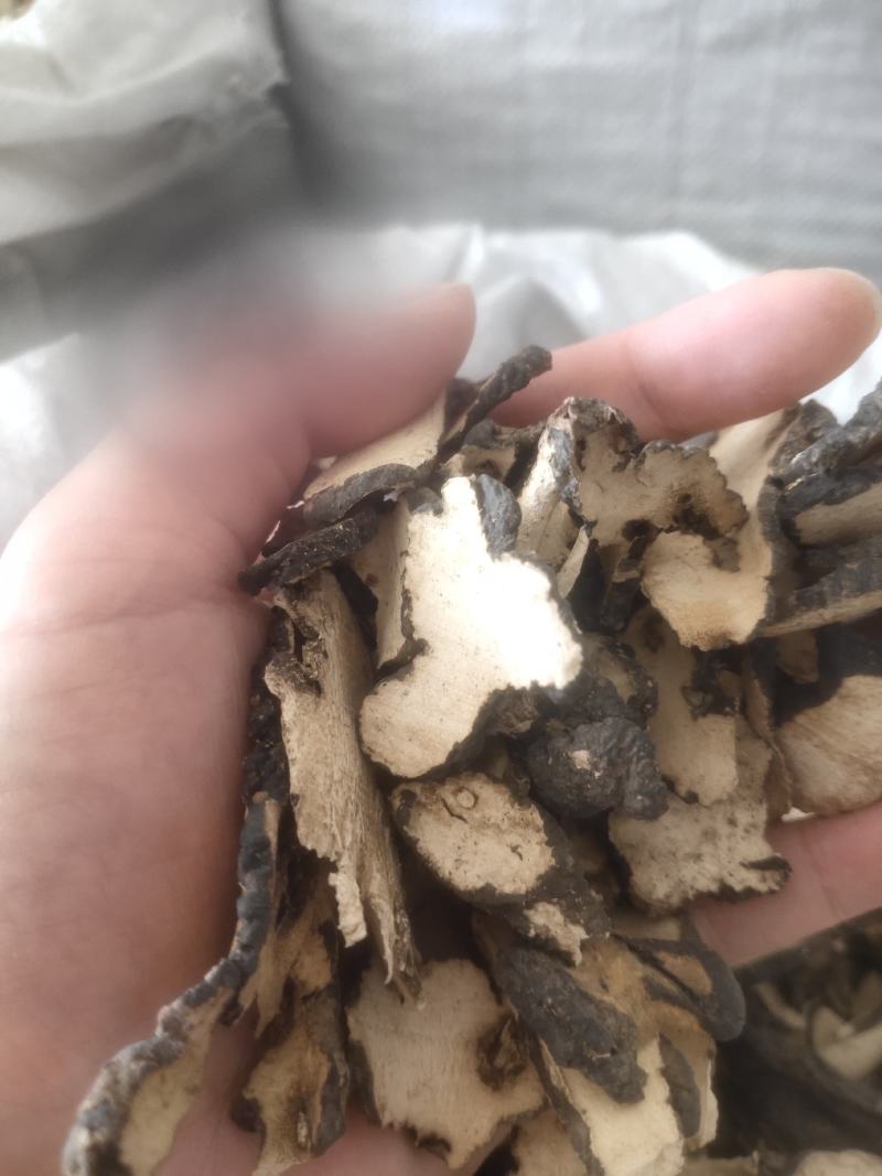 猪苓选装猪苓无硫猪苓陕西产地猪苓