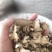 猪苓选装猪苓无硫猪苓陕西产地猪苓