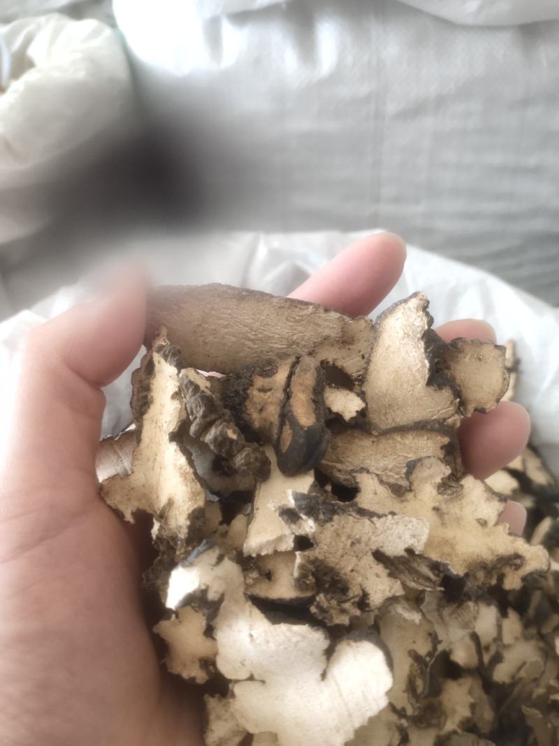 猪苓选装猪苓无硫猪苓陕西产地猪苓