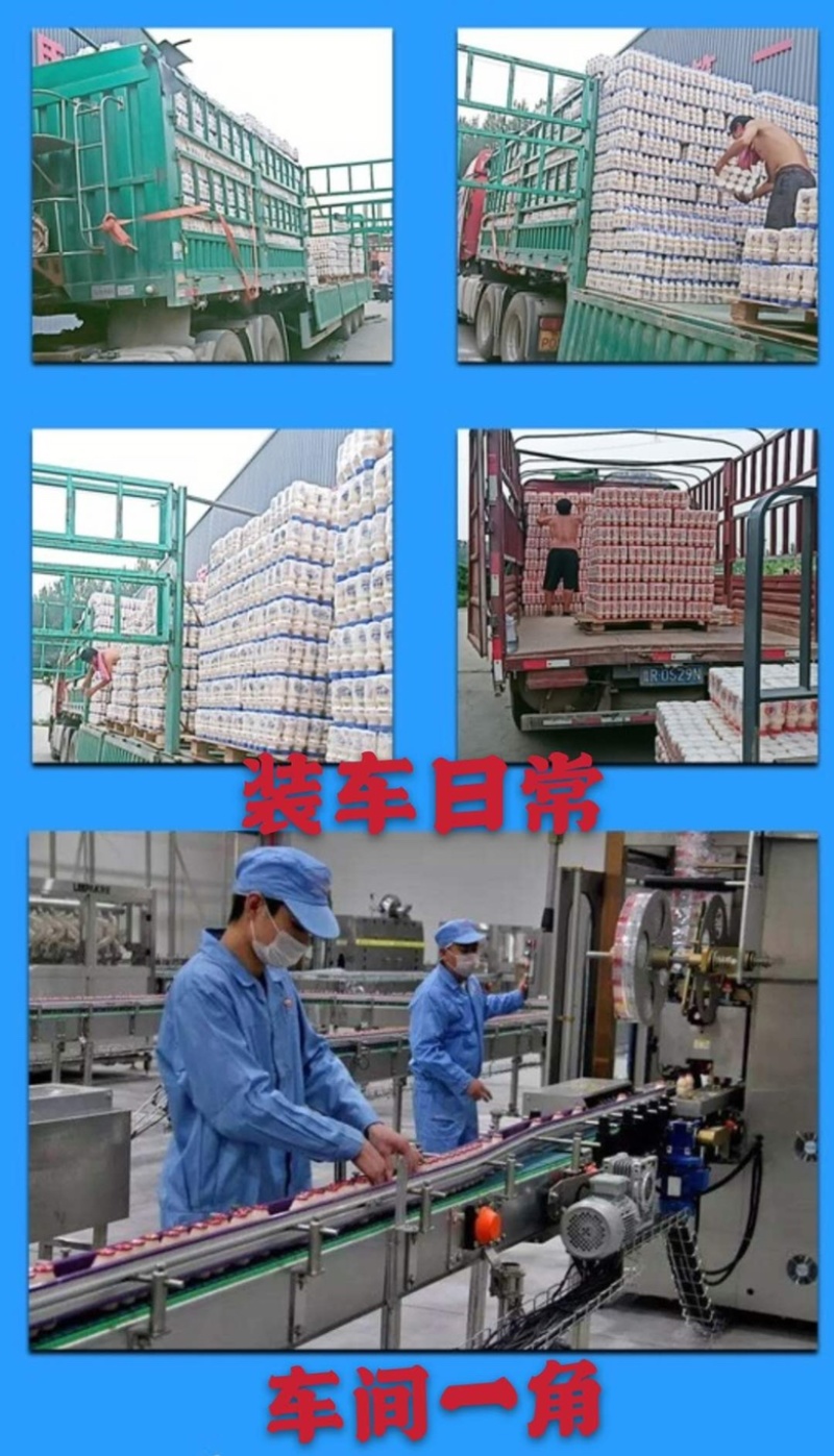 100毫升小瓶奶，超市活动价格超低，源头直发全国