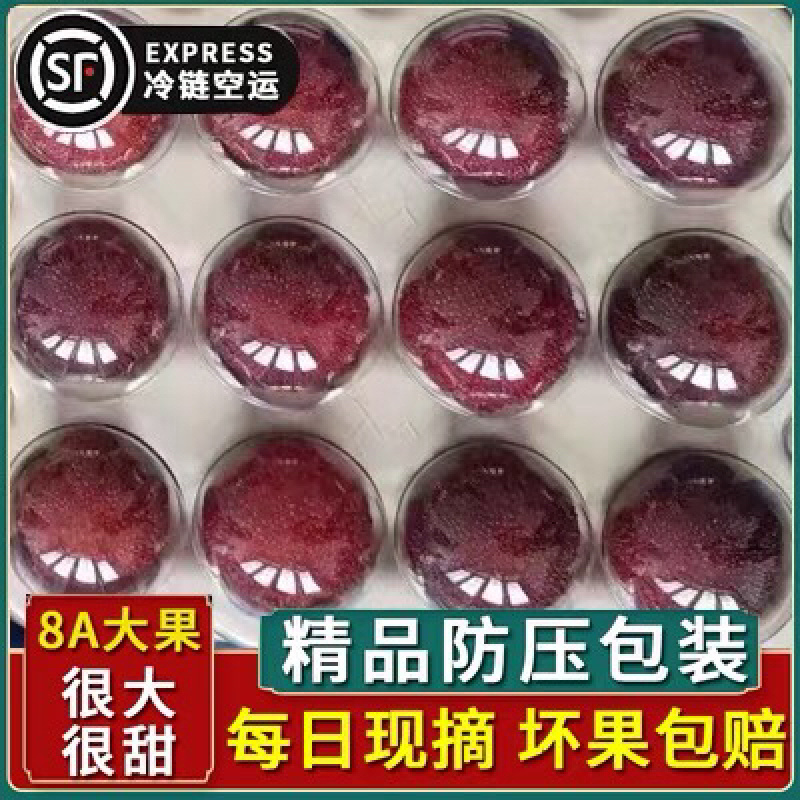 苏州东山乌紫杨梅不催熟不打药