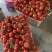 自家蔬菜大棚种植基地基地货品新鲜质量保证走车价0.9