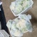 松花菜有机花两千亩陆续上市