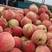 水晶毛桃，突围桃，特早油桃，红不软毛桃等大量上市，品种