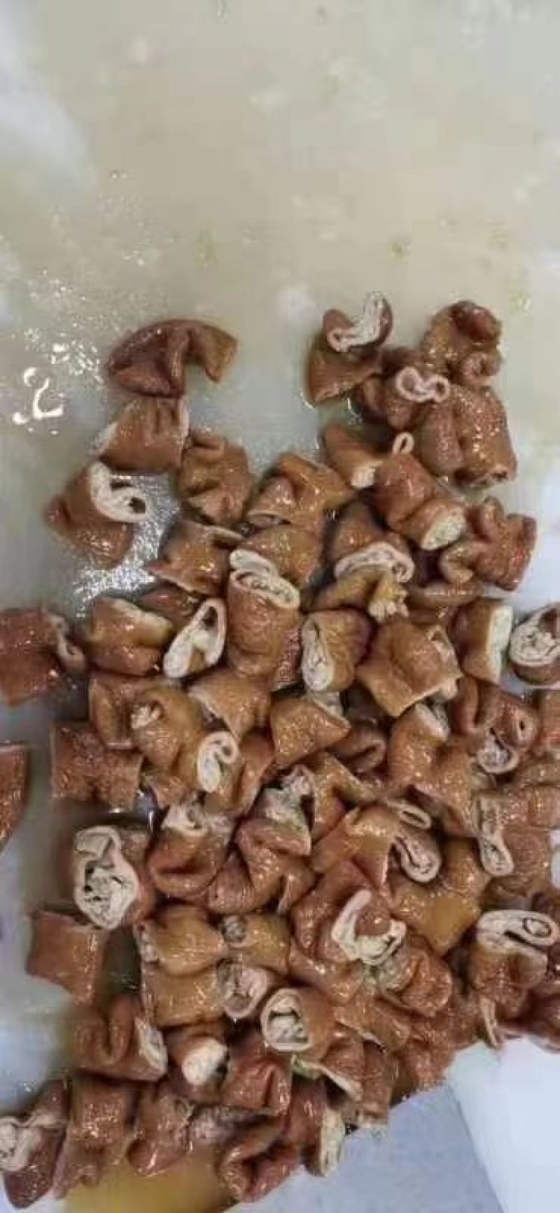 卤肥肠白水肥肠味道好销量好一手货源厂家直销