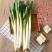 【优质】原生态大葱，货源充足产地直发量大从优来电优惠