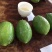 广东香水柠檬🍋一级二级、青柠、子弹头、果园直供