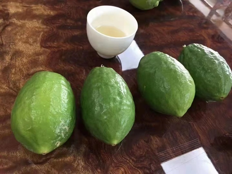 广东香水柠檬🍋一级二级、青柠、子弹头、果园直供
