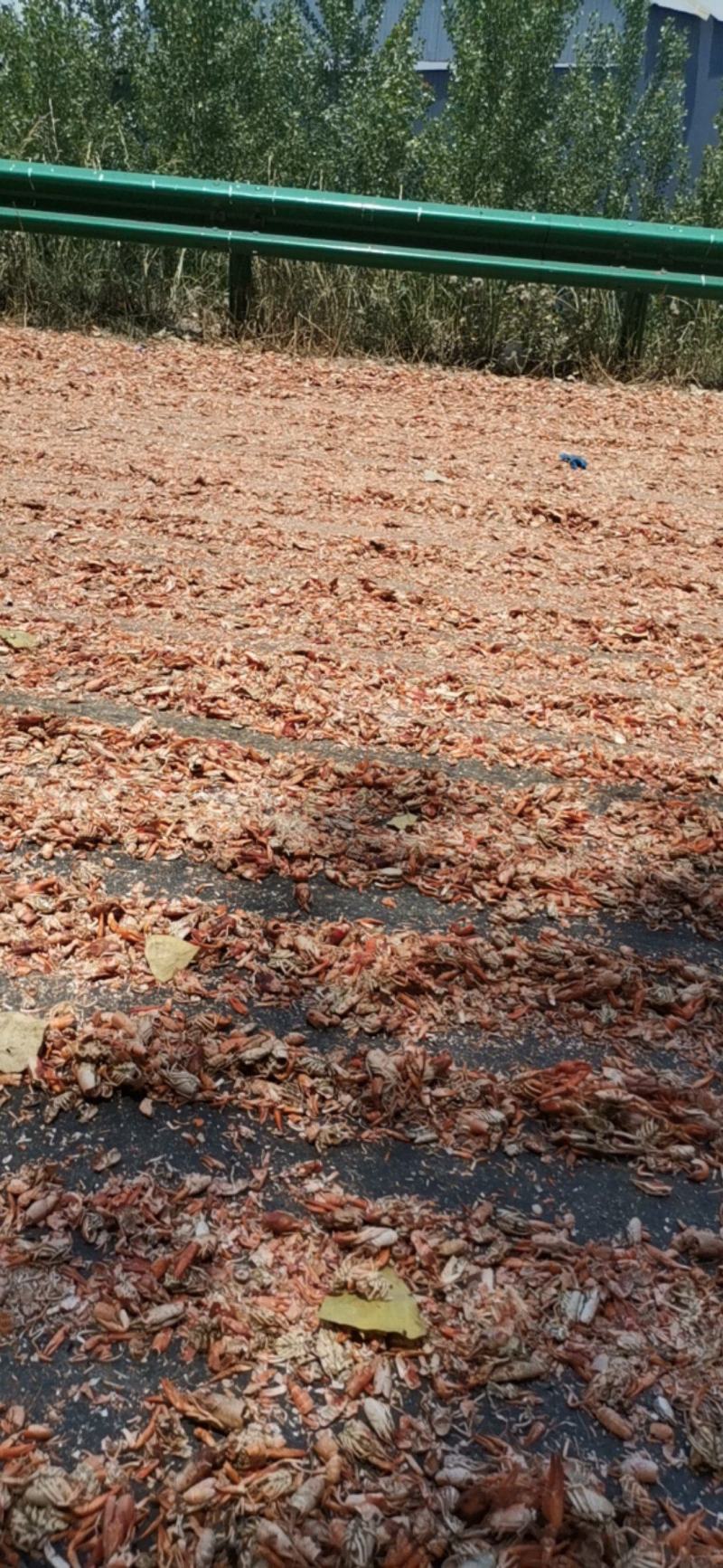 虾粉