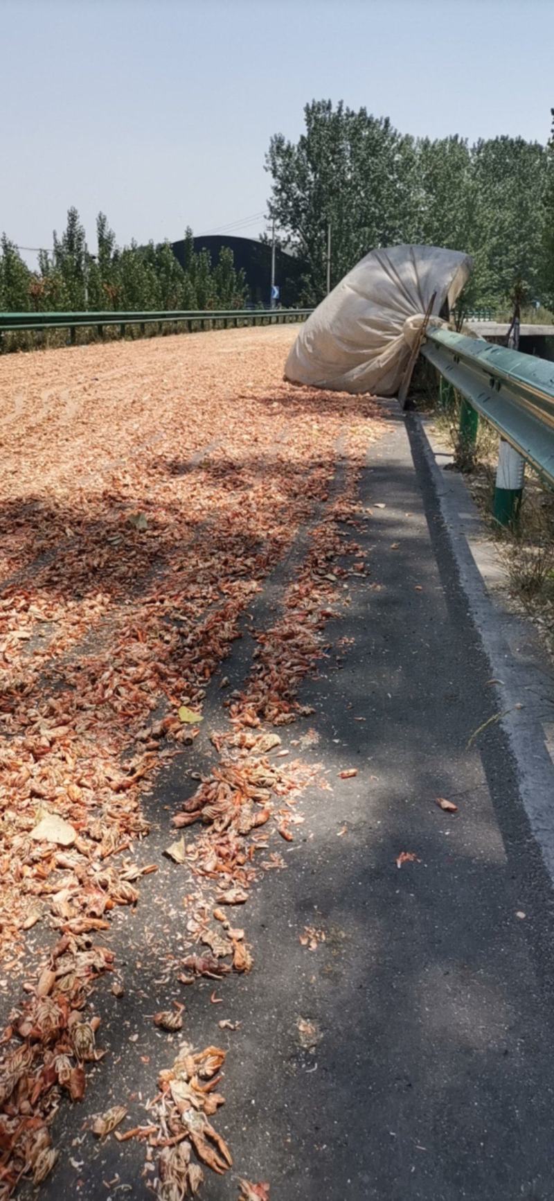 虾粉