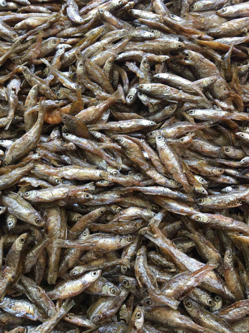 油炸白肖鱼