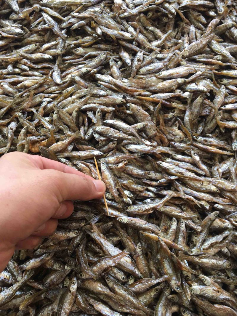 油炸白肖鱼