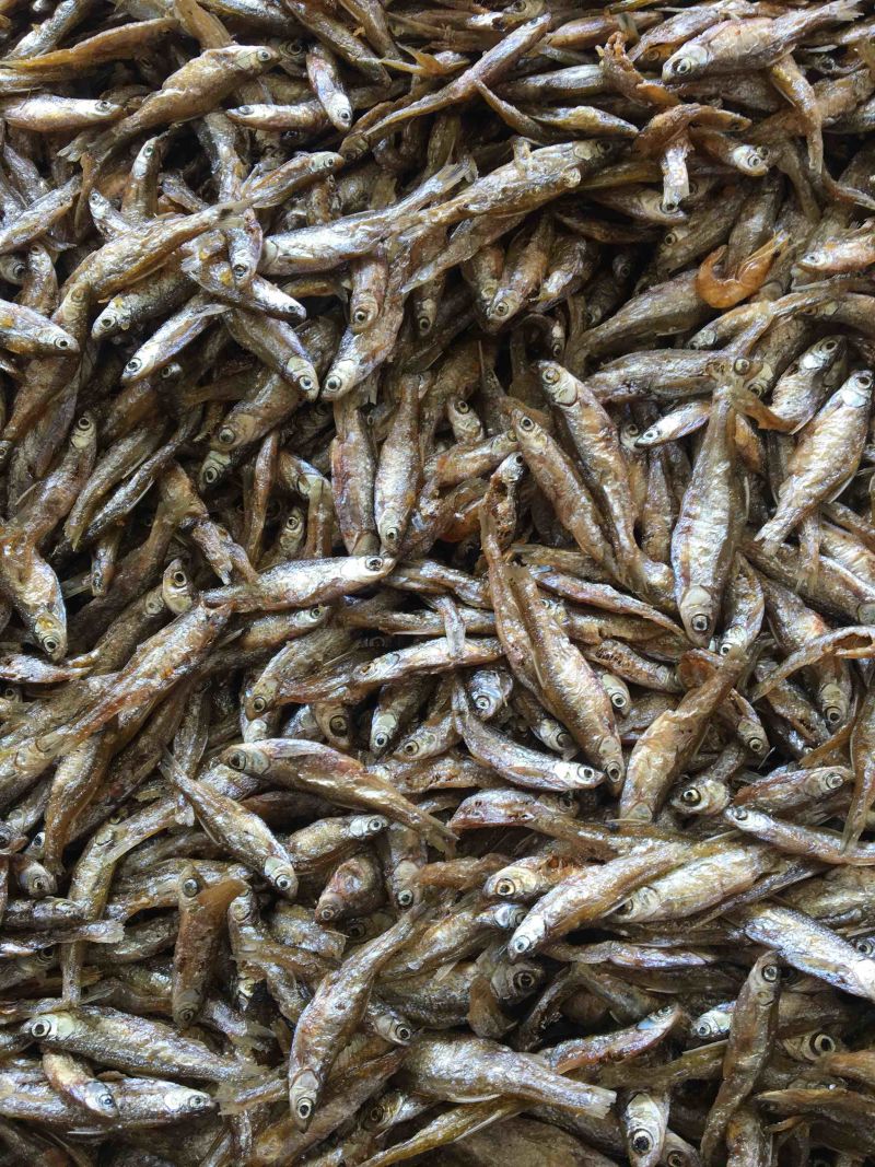 油炸白肖鱼