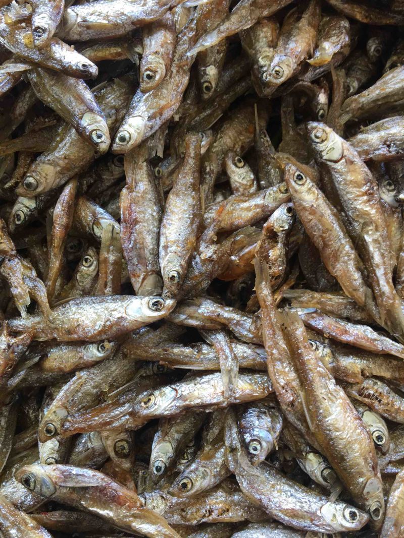 油炸白肖鱼