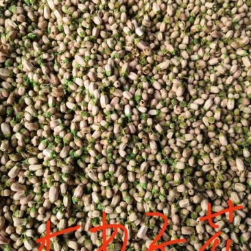 畅销产品，玳玳花，广西桂林中园花茶产品加工厂。