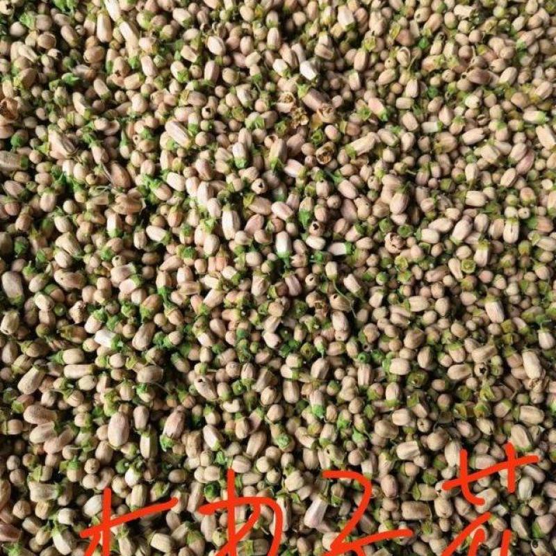 畅销产品，玳玳花，广西桂林中园花茶产品加工厂。