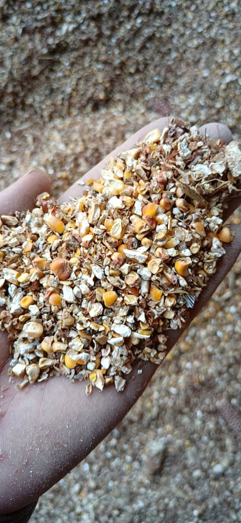 【碎玉米下脚料】菏泽碎玉米下脚饲料含粮达9成品质保障