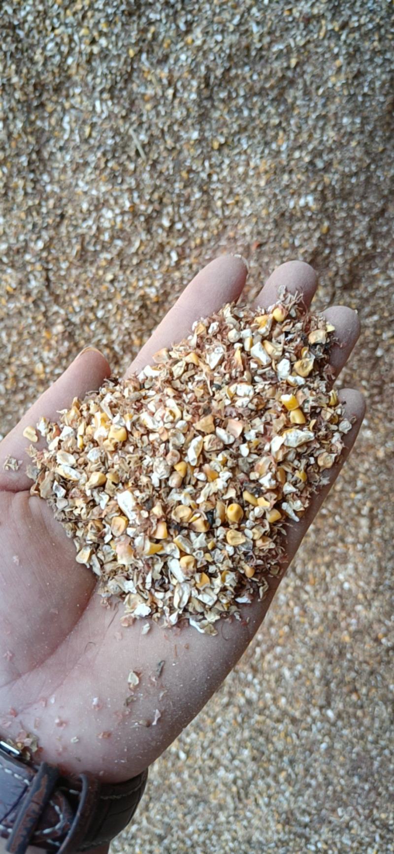 【碎玉米下脚料】菏泽碎玉米下脚饲料含粮达9成品质保障