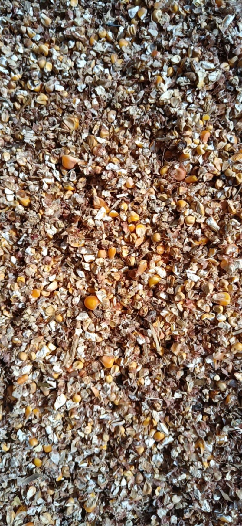 【碎玉米下脚料】菏泽碎玉米下脚饲料含粮达9成品质保障