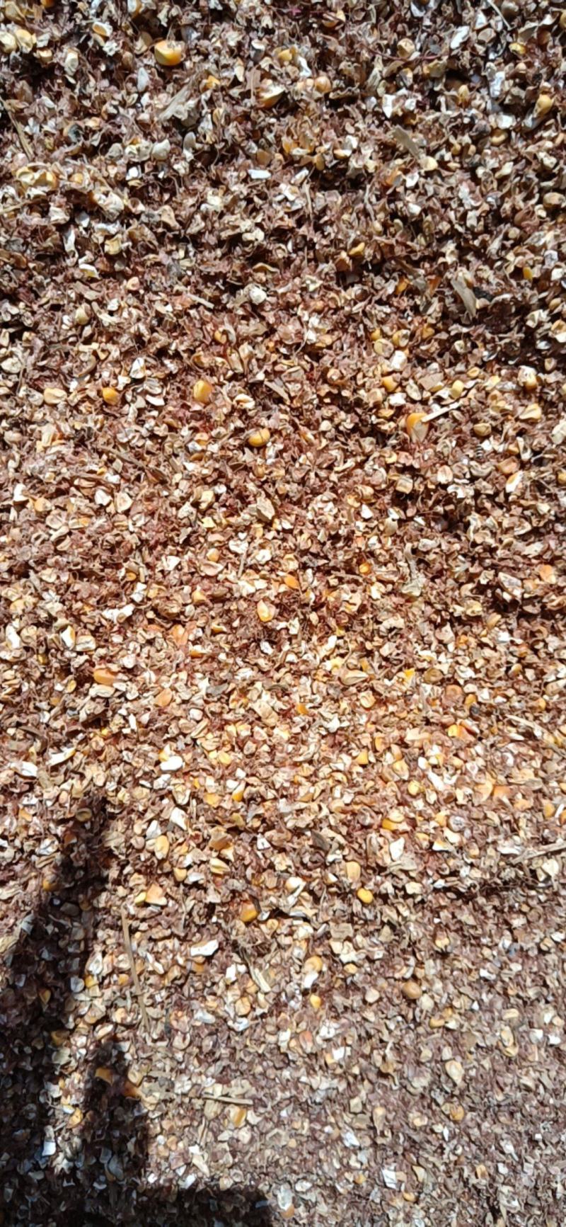 【碎玉米下脚料】菏泽碎玉米下脚饲料含粮达9成品质保障