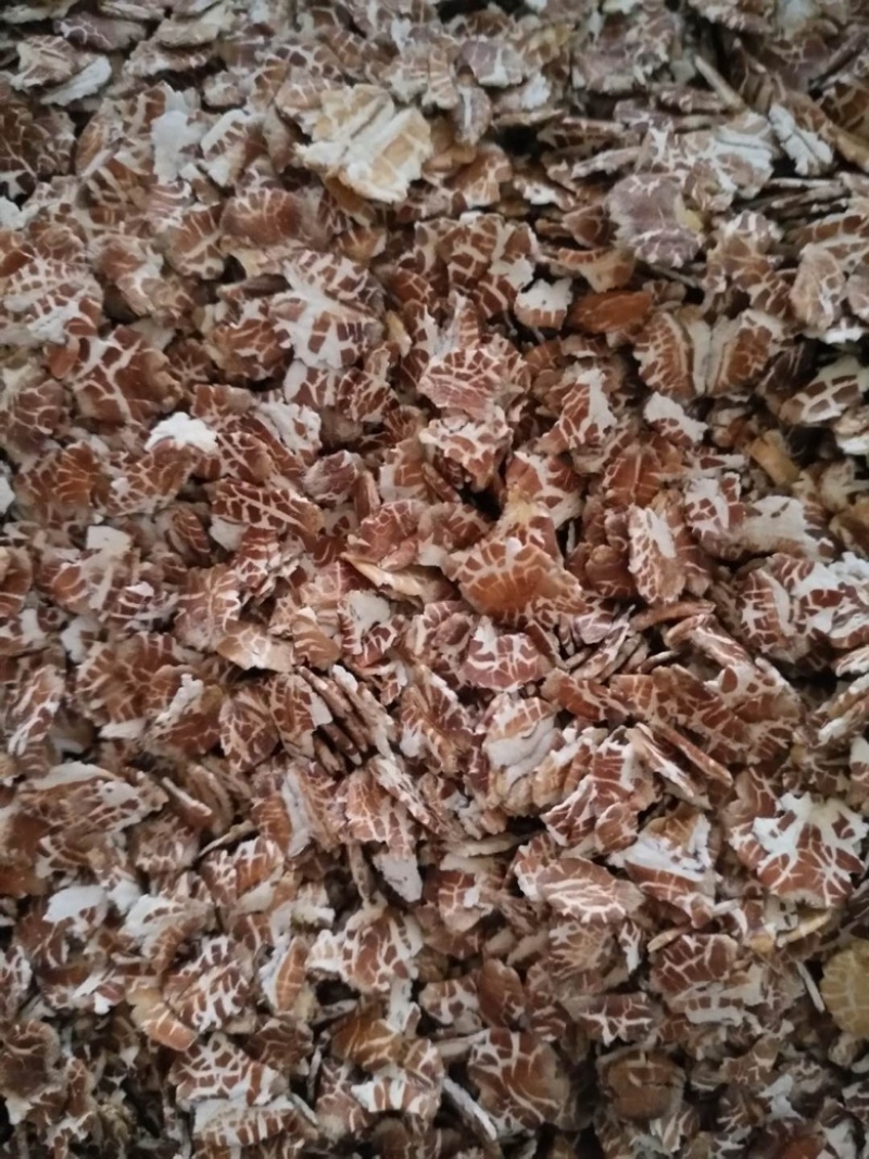熟黑燕麦片黑麦热水冲泡即食现货充足袋装50斤