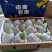广西精品贵妃芒火热上市欢迎各位老板！前来订购
