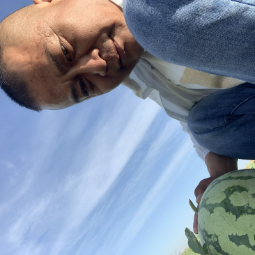 新疆吐鲁番，金城五号