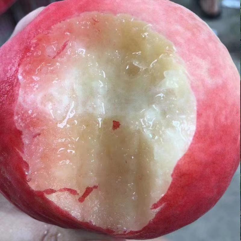 水蜜桃，产地一手货源，支持一件代发，电商对接！