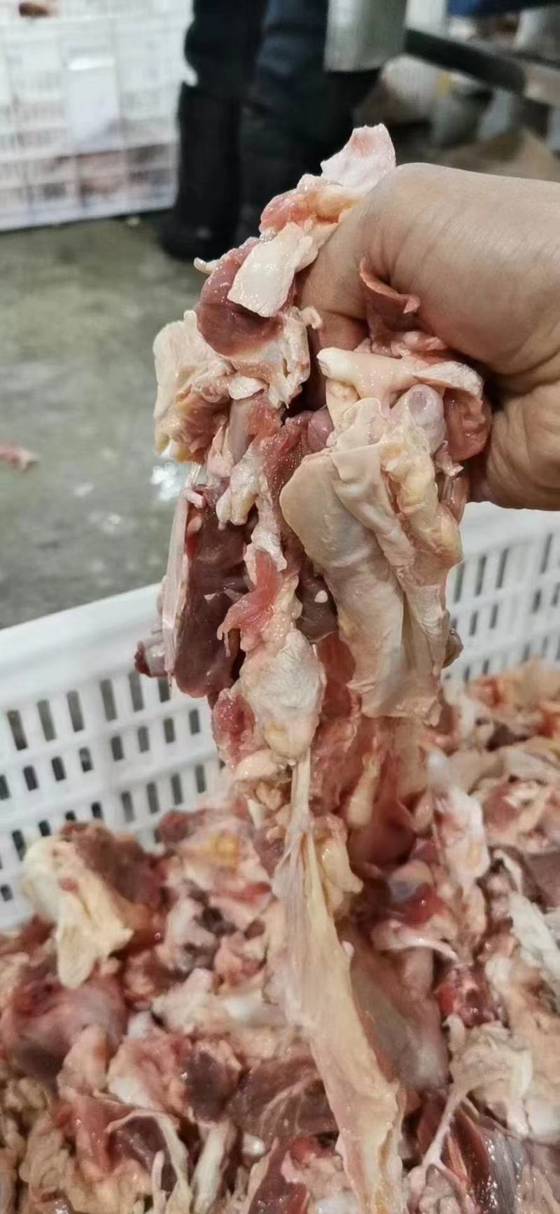 牛棒骨筋，纯干货制量好，价格合理，干净卫生，老板下下单咯