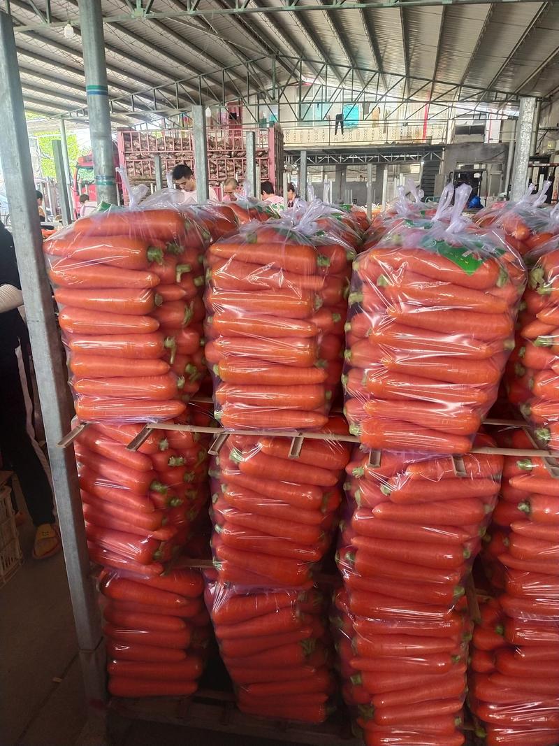 【实力】胡萝卜大量出售电商平台供应链一手货源欢迎咨询