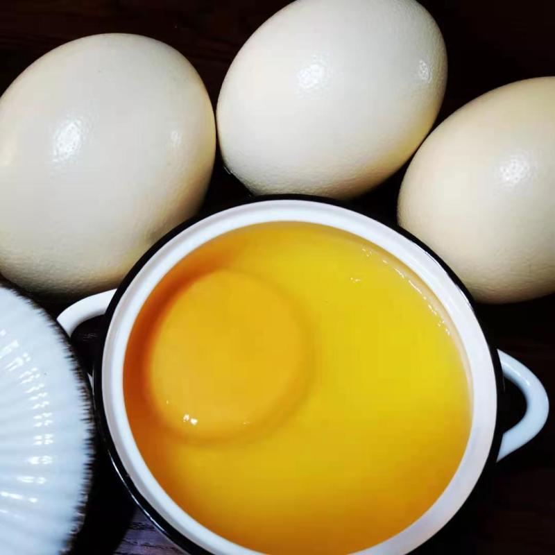 超大号新鲜鸵鸟蛋非洲鸵鸟食用蛋非受精鸵鸟蛋鸵鸟蛋雕鸸鹋蛋