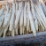 山东潍坊白芦笋大量上市中，支持电商超市