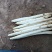 山东潍坊白芦笋大量上市中，支持电商超市