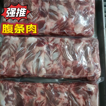 精品腹条肉品质保证量大从优欢迎咨询