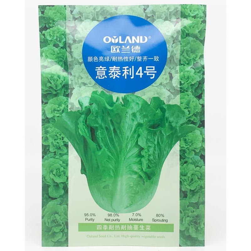 意泰利4号生菜种子四季耐热耐抽苔生菜种子20克原装发货