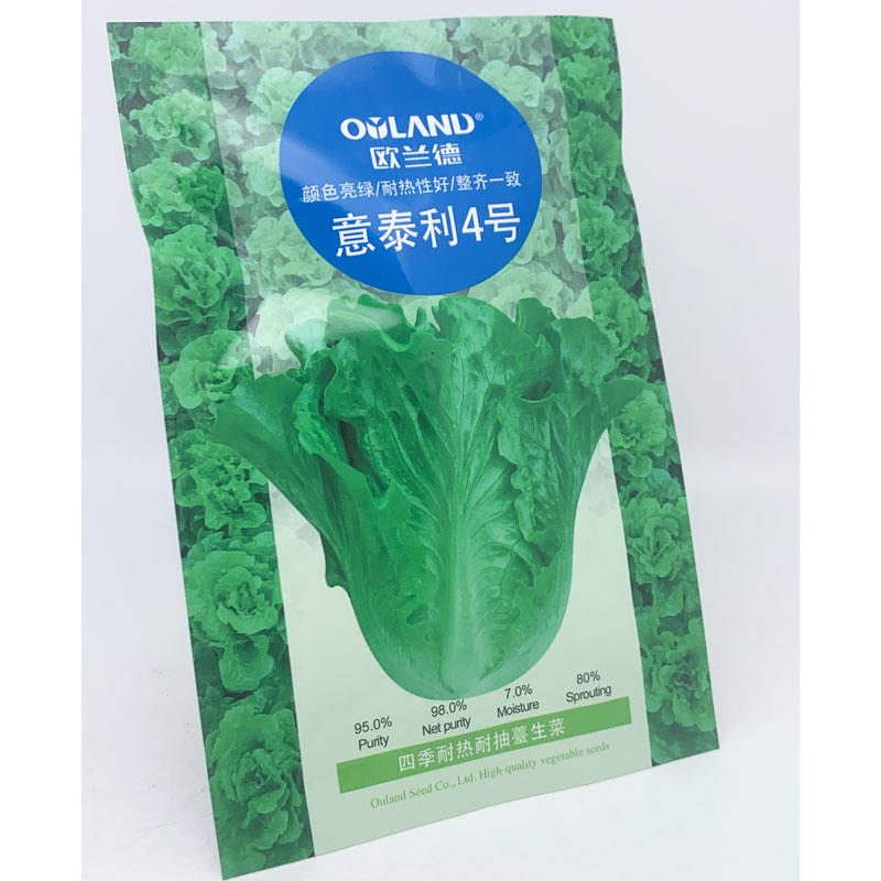 意泰利4号生菜种子四季耐热耐抽苔生菜种子20克原装发货